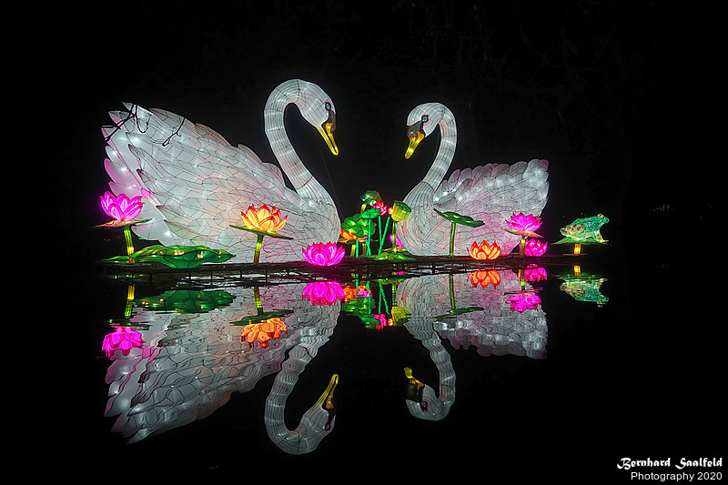 Bernhard Saalfeld - China-Light-Festival 2020 (4v9)
